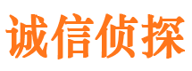 沙坪坝捉小三公司